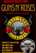 GUNS N ROSES TRIBUTE/LOSE YOUR ILLUSION
