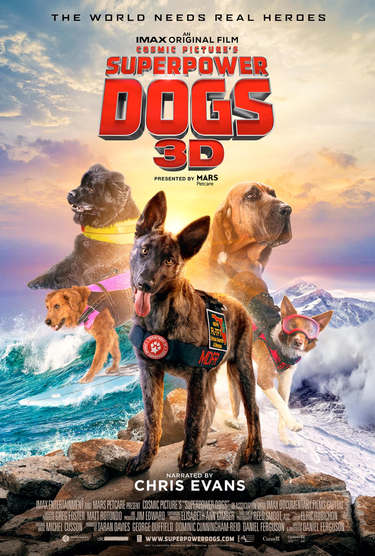 Can dogs see 3D movies?