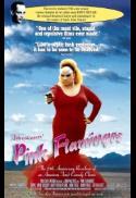 Pink Flamingos
