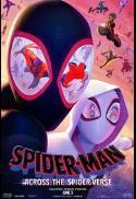 Spider-Man: Across The Spider-Verse