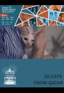 HIFF- 25 CATS FROM QATAR