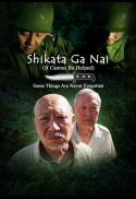 Shikata Ga Nai (It Cannot Be Helped)