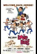 The Love bug (I.B. Tech)