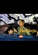 Sunset Scaries: The Birds
