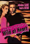 Wild at Heart