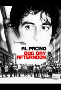 Dog Day Afternoon
