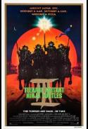 Teenage Mutant Ninja Turtles III