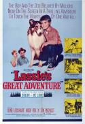 Lassie's Great Adventure/The Green Hornet