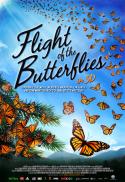 Flight of the Butterflies 3D