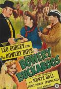 Bowery Buckaroos/Crazy Over Horses