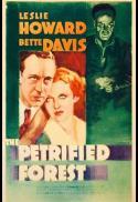The Petrified Forest