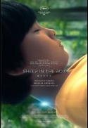 Sheep in the Box