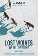 Lost Wolves of Yellowstone 2D