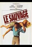 Le Sauvage