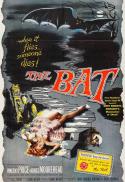 The Old Dark House/The Bat