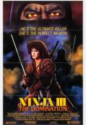 Ninja III: The Domination