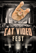 CatVideoFest 2025 + Feline & Friends NM