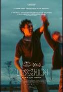 Urchin