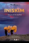 Iniskim, Return of the Buffalo