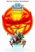 One Crazy Summer