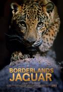 Borderlands Jaguar