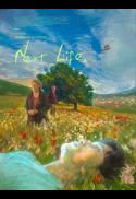 next life
