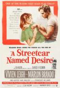 A Streetcar Named Desire/The Fugitive Kind