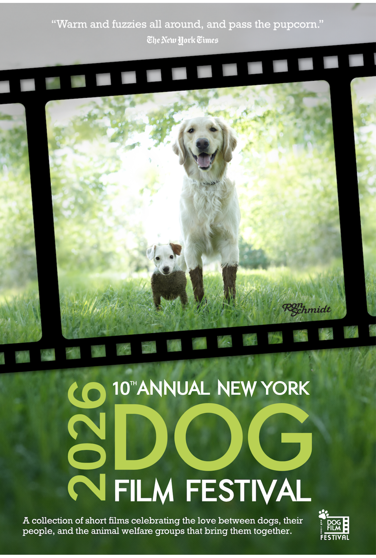 NY DOG FILM FESTIVAL 2026 poster