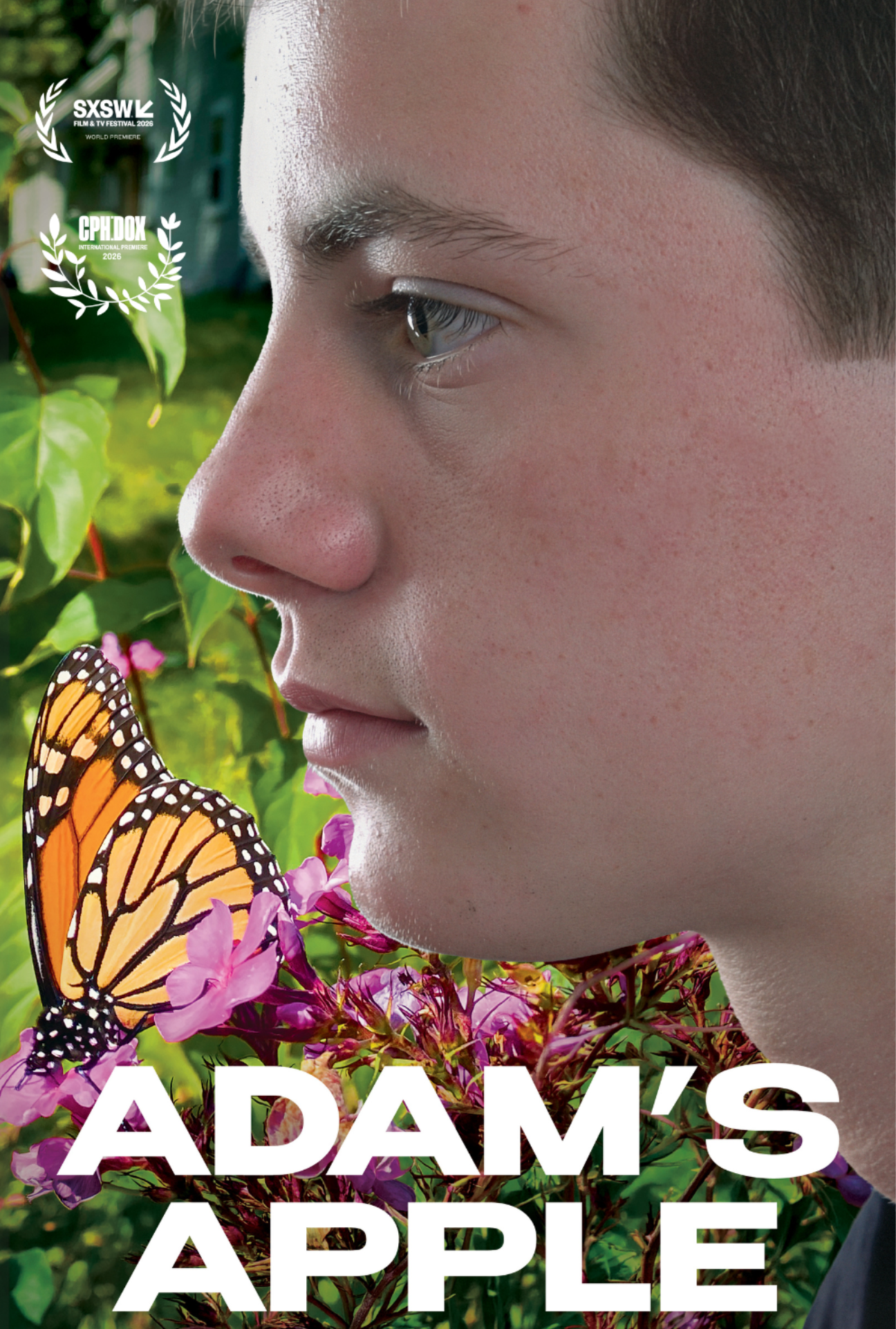 QDOC: Adam's Apple poster