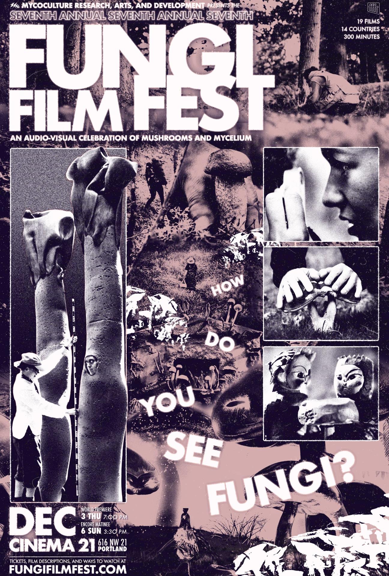 2026 Fungi Film Fest poster