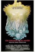 The Watcher in the Woods