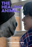 The Healing Animal