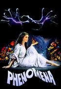 Basement Fest presents: Phenomena on VHS