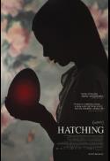 Hatching