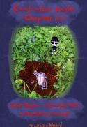 Castration Movie Chapter iii. Junior Ghosts