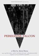 Peregrine Falcon