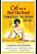 Cat on a Hot Tin Roof