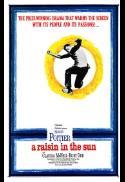 A Raisin In The Sun