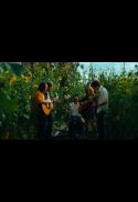 LIVE MUSIC: The Revelator & more