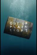 Out of Plain Sight