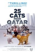25 Cats From Qatar