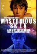 Mysterious Skin (4K Re-release)