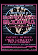LIVE MUSIC: Microwave Buddha, Diesel Dudes & more