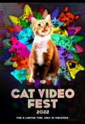 CatVideoFest 2022