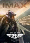 Top Gun: Maverick: The IMAX Experience