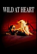 Wild at Heart (35mm)